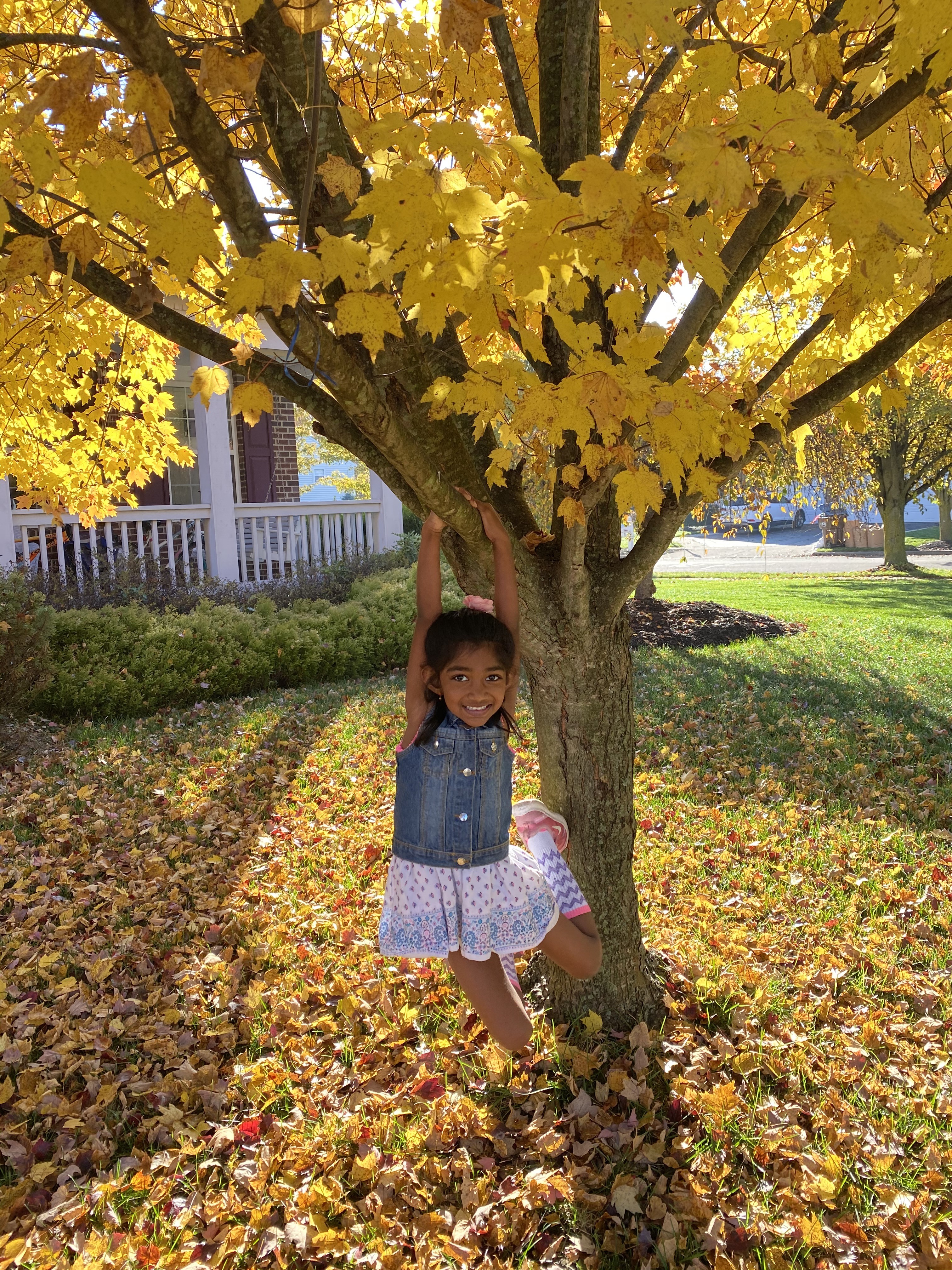 girl swinging from tree branch